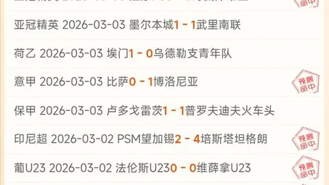新星后场起伏不定，关键时刻能否逆袭成功？